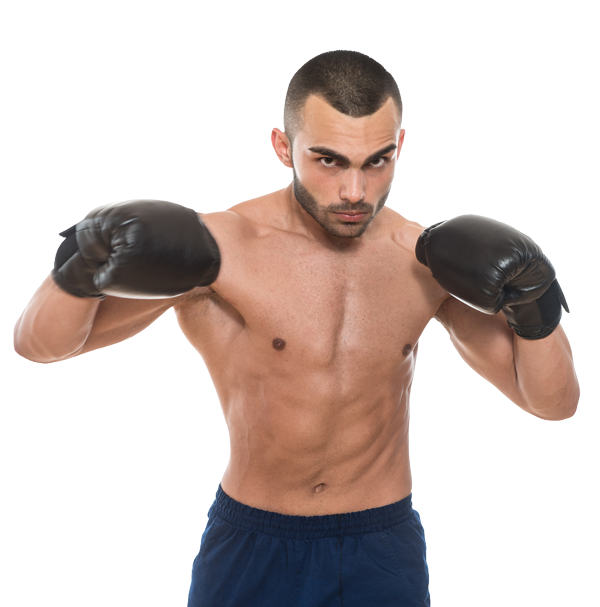 boxer