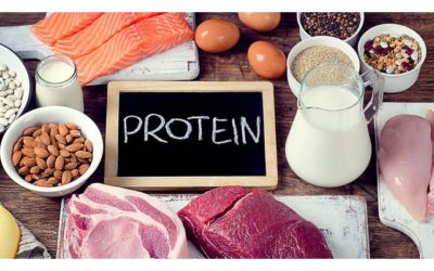 Protein – mýtus a fakty